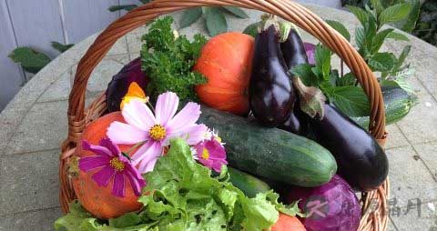 青茄子怎么做好吃 青茄子怎么做好吃