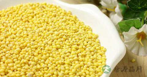 黄米的吃法_哪些人不能吃黄米