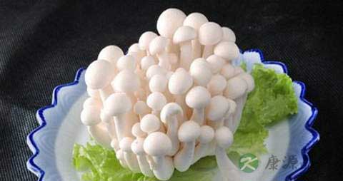 胶玉蘑的营养价值_吃胶玉蘑的好处