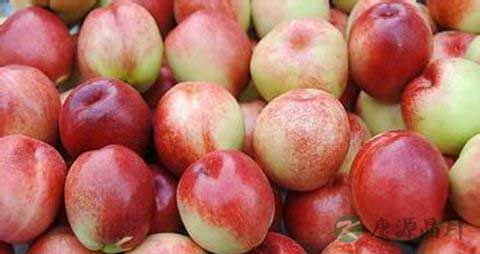 油桃的吃法_哪些人不能吃油桃