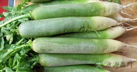青萝卜的营养价值_吃青萝卜的好处