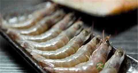 白刺虾的吃法_哪些人不能吃白刺虾 白刺虾的吃法_哪些人不能吃白刺虾