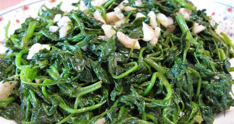 灰灰菜的吃法_哪些人不能吃灰灰菜