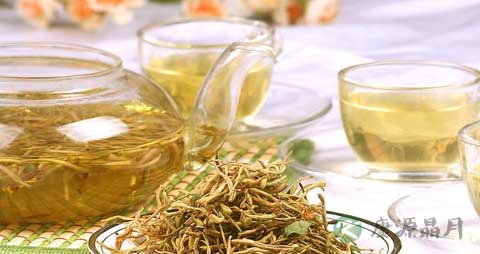 金银花的营养价值_吃金银花的好处