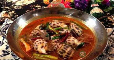 凤螺的吃法_哪些人不能吃凤螺