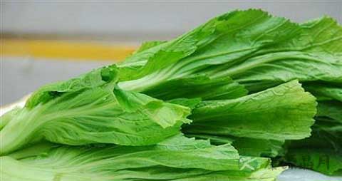 茎用芥菜的营养价值_吃茎用芥菜的好处