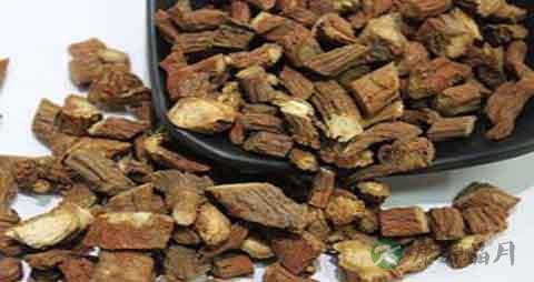 红丹参的吃法_哪些人不能吃红丹参