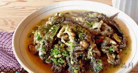 塘鳢鱼的营养价值_吃塘鳢鱼的好处