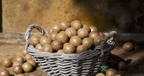 夏威夷果的吃法_哪些人不能吃夏威夷果