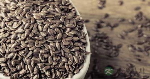 吃瓜子为什么会长胖