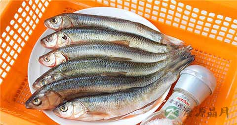 华子鱼的吃法_哪些人不能吃华子鱼