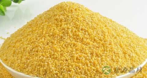 黄米的营养价值_吃黄米的好处 黄米的营养价值_吃黄米的好处