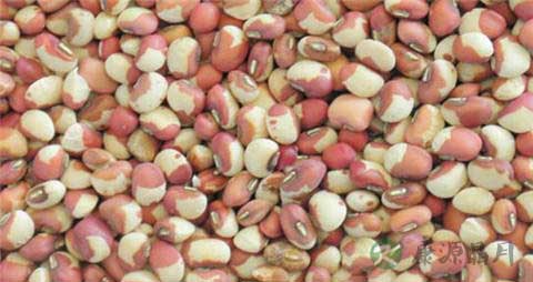 花豆的营养价值_吃花豆的好处