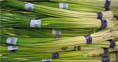 蒜薹的营养价值_吃蒜薹的好处