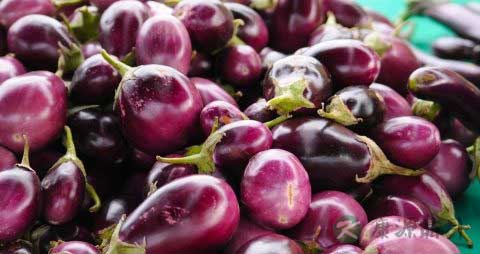 茄子怎么炒不会变黑