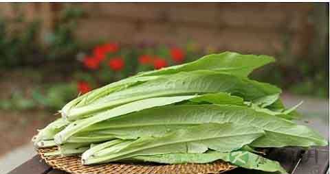 莴笋叶的营养价值_吃莴笋叶的好处 莴笋叶的营养价值_吃莴笋叶的好处