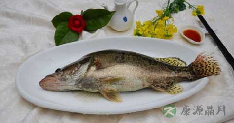 花鲫鱼的营养价值_吃花鲫鱼的好处 花鲫鱼的营养价值_吃花鲫鱼的好处