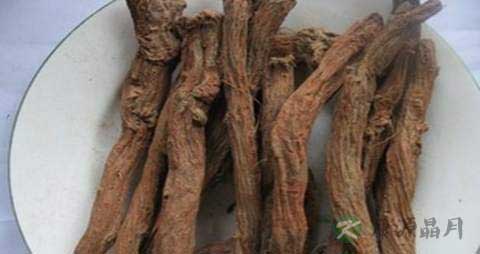 丹参片的营养价值_吃丹参片的好处