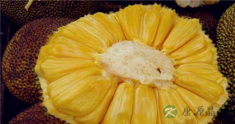 菠萝蜜的营养价值_吃菠萝蜜的好处