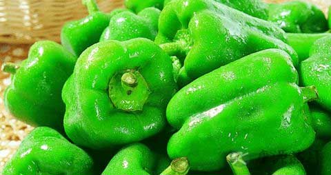 吃青椒会上火吗