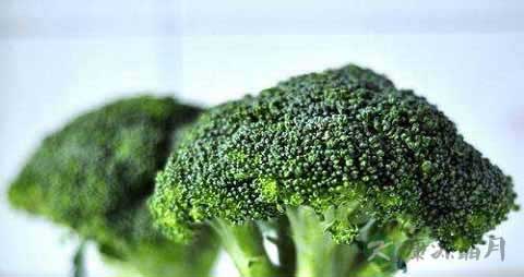 青花菜的营养价值_吃青花菜的好处