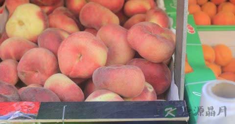 五指毛桃和什么煲汤