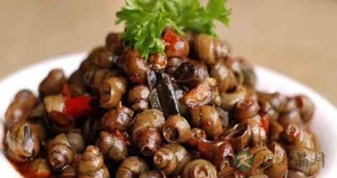 香螺的吃法_哪些人不能吃香螺