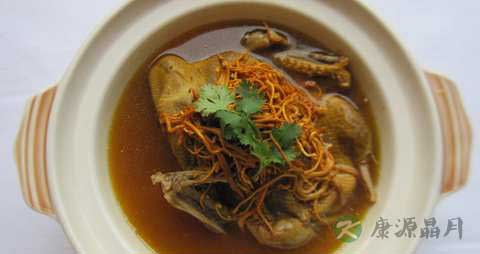 野鸭的营养价值_吃野鸭的好处