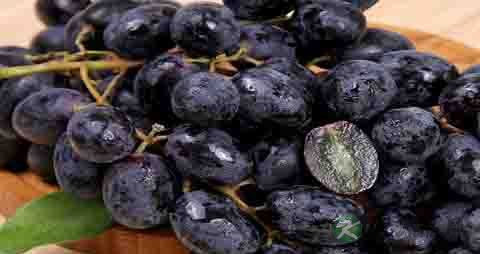 黑提的吃法_哪些人不能吃黑提