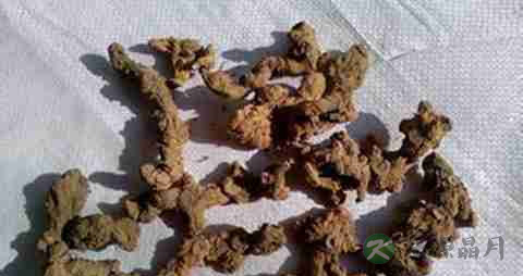 黄精的营养价值_吃黄精的好处