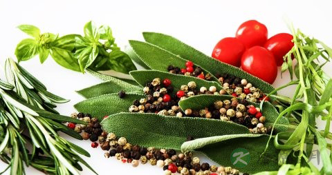 麝香泡酒配方 麝香泡酒配方