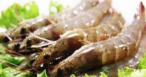 虾和酸奶能一起吃吗 虾和酸奶能一起吃吗