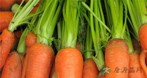 苹果和胡萝卜一起榨汁好喝吗