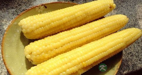 玉米煮多久才熟