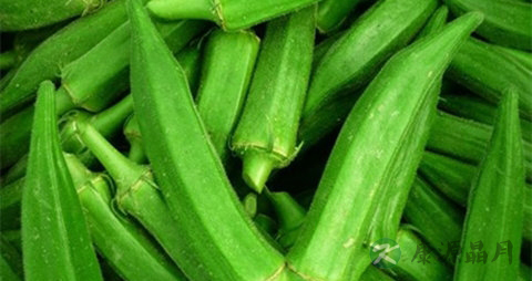 秋葵怎么挑选