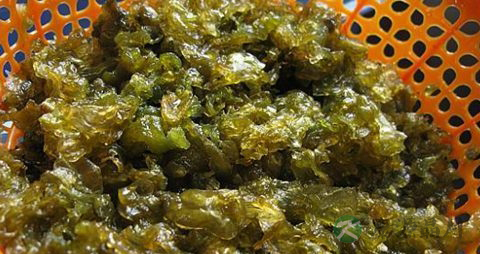 地皮菜的营养价值_吃地皮菜的好处