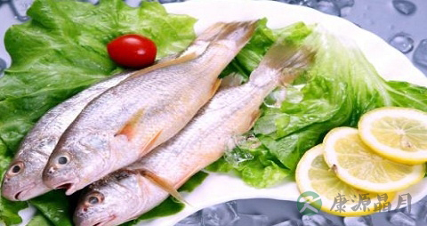 丁珠鱼的营养价值_吃丁珠鱼的好处 丁珠鱼的营养价值_吃丁珠鱼的好处