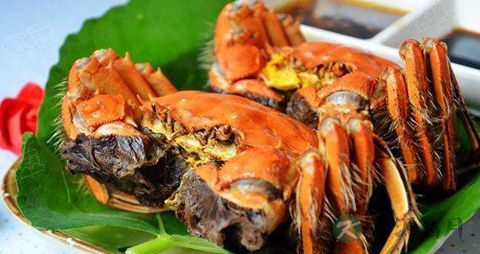 怎样蒸螃蟹才好吃 怎样蒸螃蟹才好吃