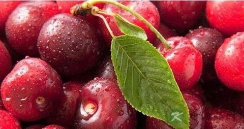 车厘子怎么区分好坏