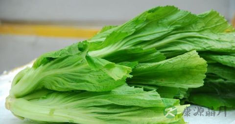大叶芥菜的吃法_哪些人不能吃大叶芥菜 大叶芥菜的吃法_哪些人不能吃大叶芥菜