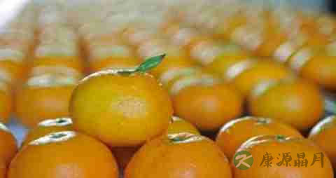 蜜柑的营养价值_吃蜜柑的好处