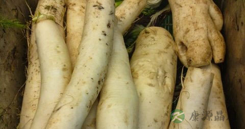 生萝卜怎么腌制好吃