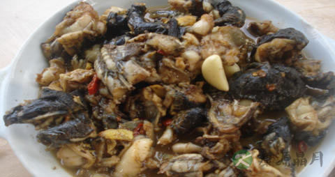 庐山石鸡的营养价值_吃庐山石鸡的好处 庐山石鸡的营养价值_吃庐山石鸡的好处