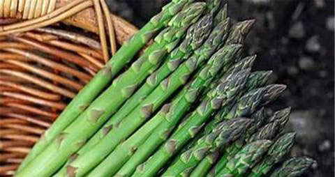 蒌蒿的营养价值_吃蒌蒿的好处