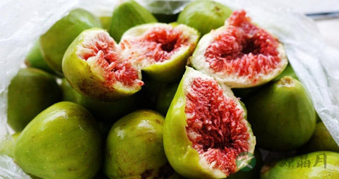 无花果是什么季节的 无花果是什么季节的