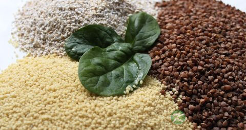 农历几月喝腊八粥 农历几月喝腊八粥