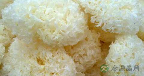 银耳不能和什么一起煮