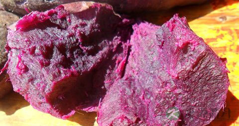 紫薯干的营养价值_吃紫薯干的好处