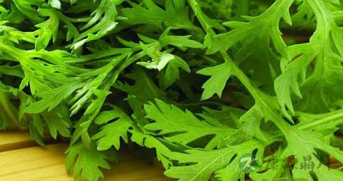 芹菜叶的吃法_哪些人不能吃芹菜叶 芹菜叶的吃法_哪些人不能吃芹菜叶