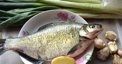 边鱼的营养价值_吃边鱼的好处